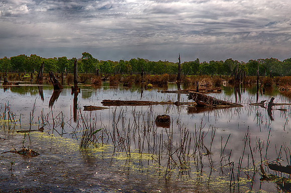 2015-11-20-100789_HDR