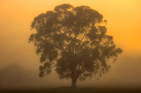 2013_05_21_00033283_4_5_tonemapped