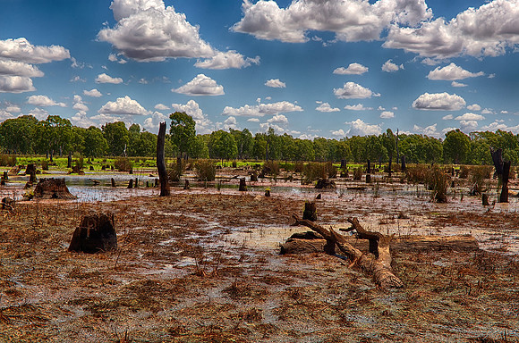 2015-12-23-102792_HDR
