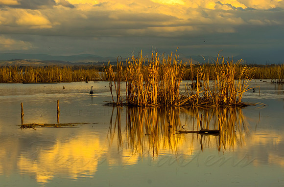 2013_07_29_00045143_4_5_tonemapped