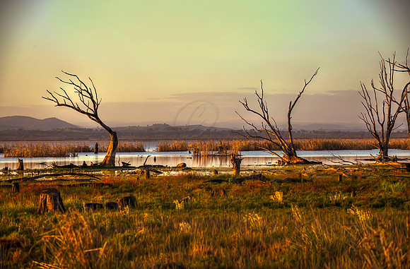 2013_08_15_00048523_4_5_6_7_tonemapped