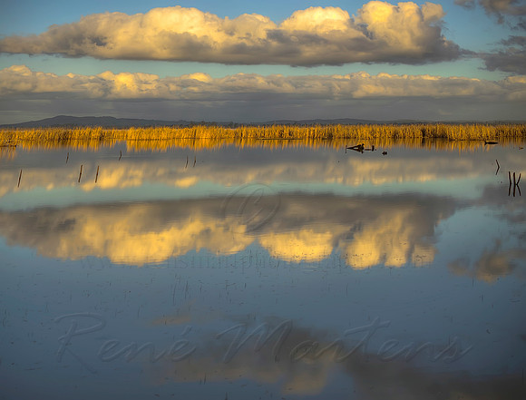 2013_08_15_00048565_6_7_8_9_tonemapped