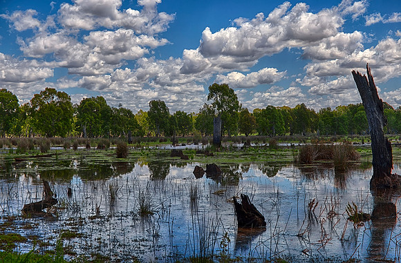 2015-11-16-100373_HDR