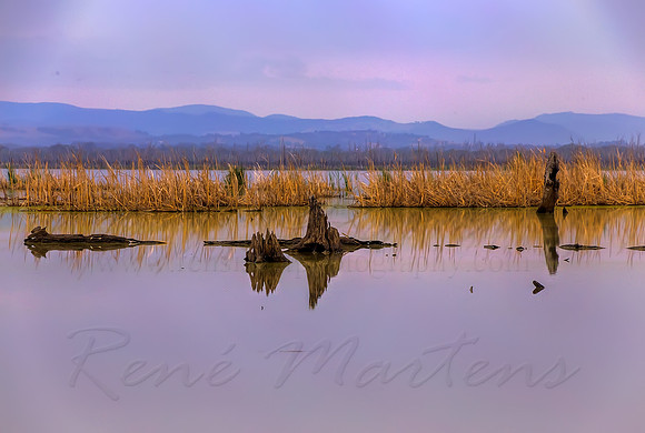 2013_11_08_00070292_3_4_5_6_tonemapped