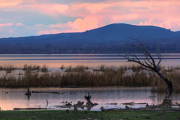 2013_07_16_00043934_5_6_tonemapped