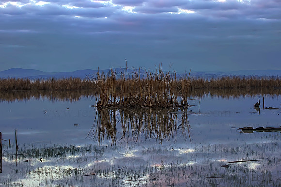 2013_08_01_00045613_4_5_tonemapped