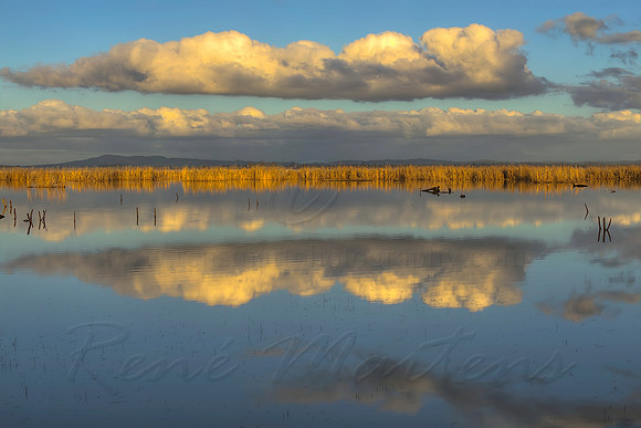 2013_08_15_00048585_6_7_8_9_tonemapped