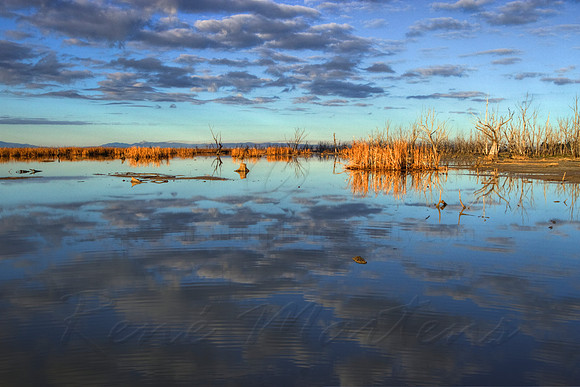 2013_07_12_00042720_1_2_tonemapped