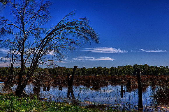 2015-11-24-101027_HDR