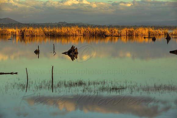 2013_08_15_00048625_6_7_8_9_tonemapped