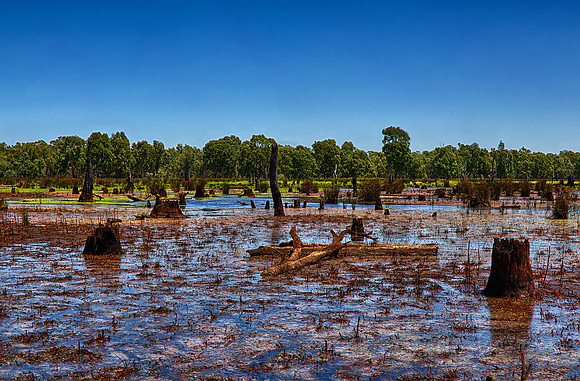 2015-12-16-102285_HDR
