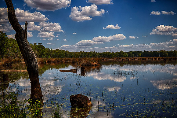 2015-12-24-102922_HDR