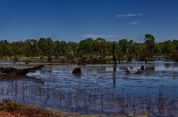 2015-11-18-100593_HDR