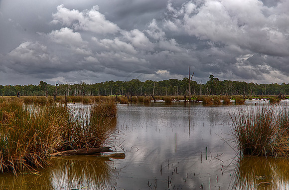 2016_01_27_00001440_HDR