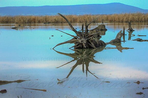 2013_07_27_00045090_1_2_tonemapped