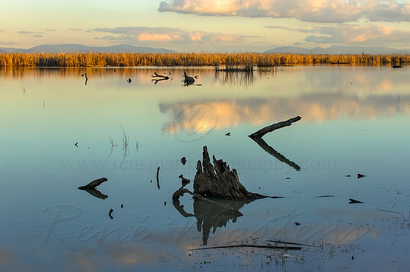 2013_08_01_00045703_4_5_tonemapped