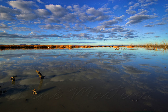 2013_07_12_00042750_1_2_tonemapped