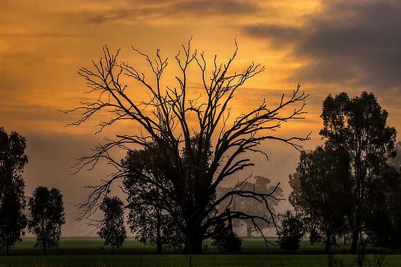 2013_06_13_00037336_7_8_tonemapped