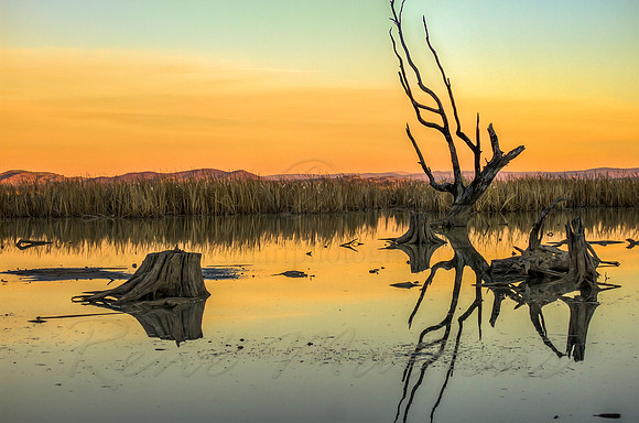 2013_06_23_00040346_7_8_tonemapped