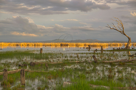 2013_08_26_00053769_70_71_72_73_tonemapped