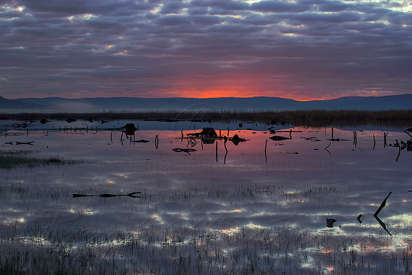 2013_08_01_00045610_1_2_tonemapped