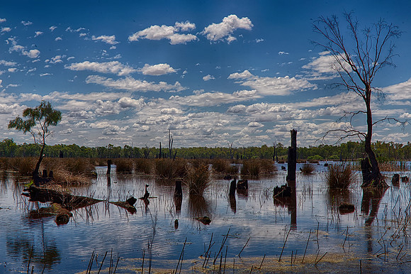 2015-11-17-100448_HDR