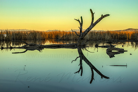 2013_06_25_00040490_1_2_tonemapped