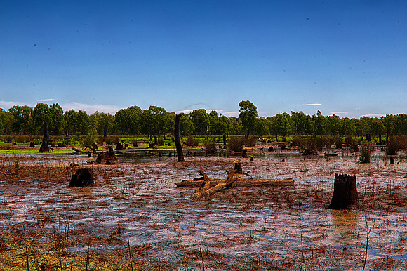 2015-12-18-102496_HDR