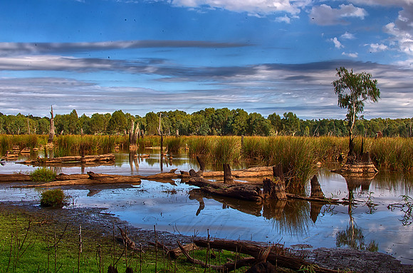 2017_03_23_00044778_HDR