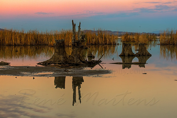 2013_05_21_00033347_8_9_tonemapped