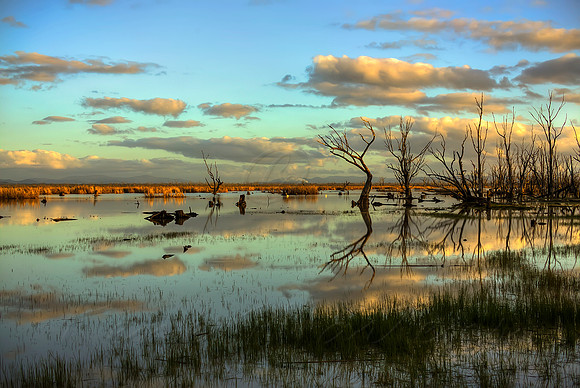 2013_08_15_00048575_6_7_8_9_tonemapped
