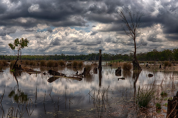 2015-11-06-099401_HDR