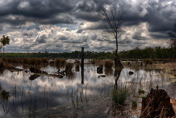 2015-11-06-099408_HDR