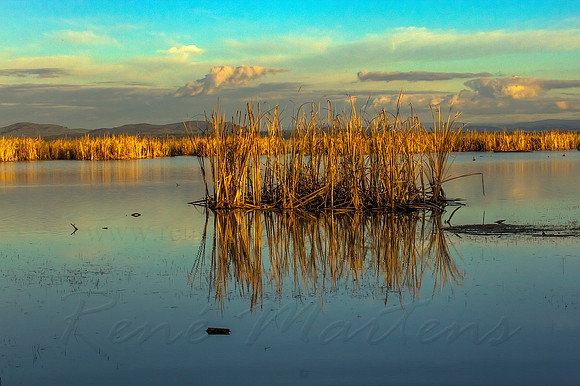 2013_08_01_00045660_1_2_tonemapped