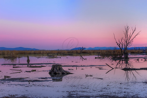 2013_06_23_00040406_7_8_tonemapped