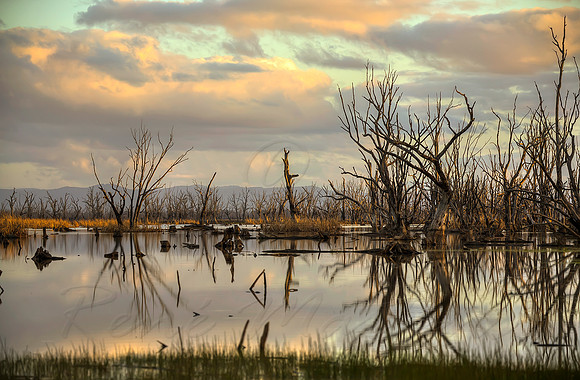 2013_08_15_00048660_1_2_3_4_tonemapped