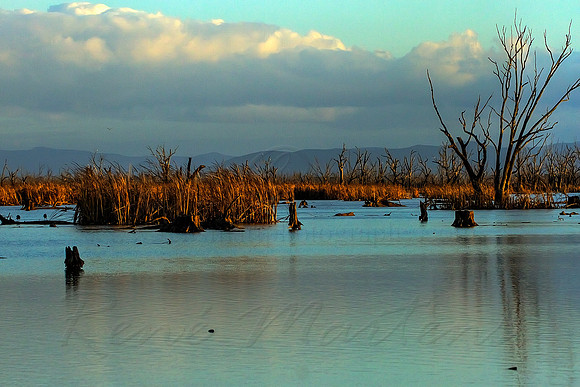 2013_08_06_00045944_5_6_tonemapped