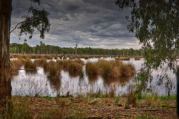 2015-11-04-099128_HDR