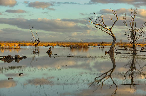 2013_08_15_00048590_1_2_3_4_tonemapped