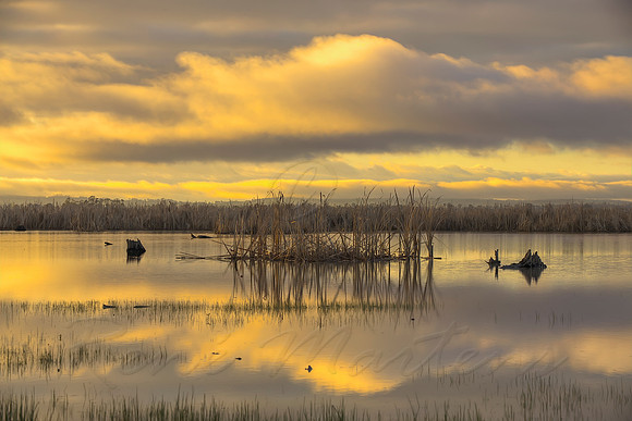 2013_08_20_00049353_4_5_6_7_tonemapped