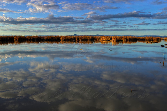 2013_07_12_00042726_7_8_tonemapped