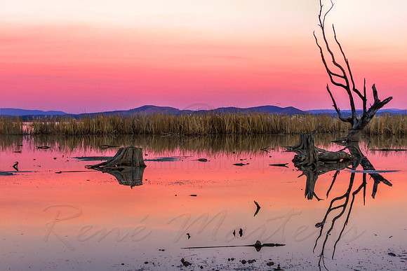 2013_06_23_00040397_8_9_tonemapped