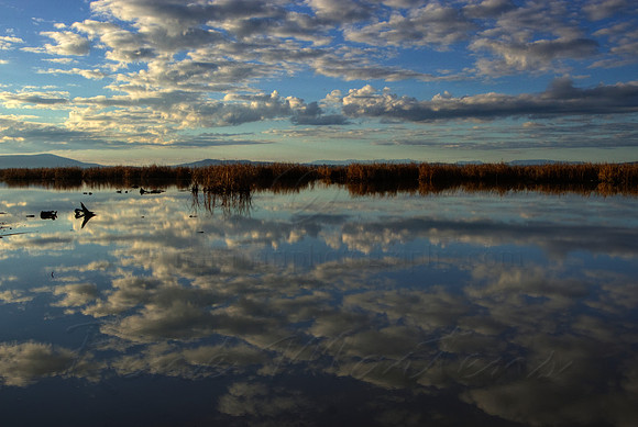 2013_07_12_00042729_30_31_tonemapped