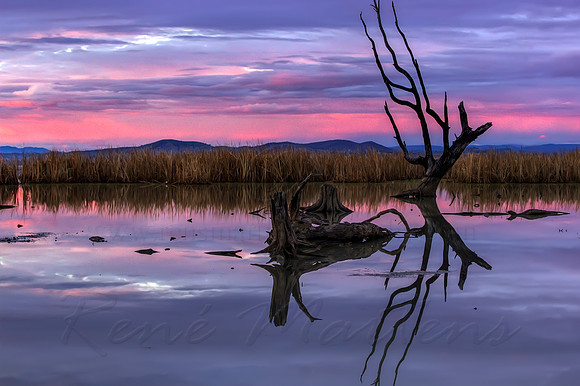 2013_06_18_00038290_1_2_tonemapped
