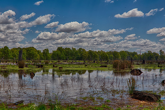 2015-11-16-100348_HDR