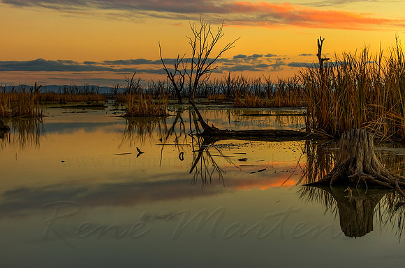 2013_05_21_00033356_7_8_tonemapped