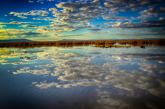 2013_07_12_00042762_3_4_tonemapped