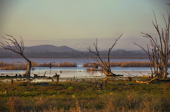 2013_08_15_00048518_19_20_21_22_tonemapped