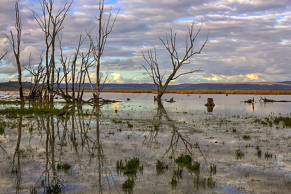 2013_08_30_00054017_18_19_20_21_tonemapped