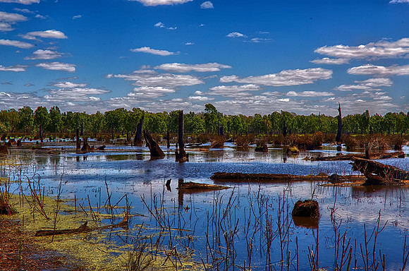 2015-11-27-101237_HDR